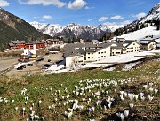 PASSO SAN SIMONE e FORCELLA ROSSA da San Simone-Baita Camoscio- 8magg21- FOTOGALLERY